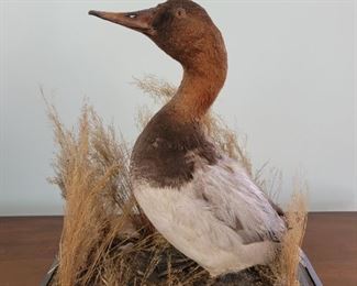 18" high with base of 11" x 16"