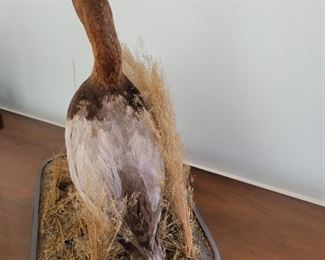 18" high with base of 11" x 16"