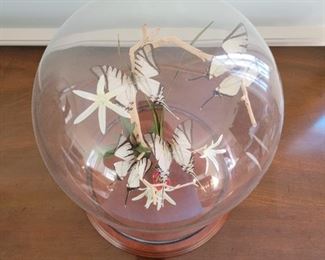 Butterflies under glass - 13" high x 8" diameter