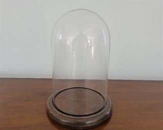 Glass dome with wooden base - 11" tall