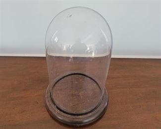 Glass dome with wooden base - 11" tall