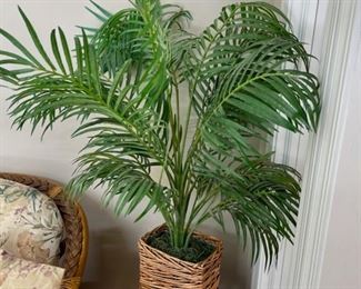 $12.00..................Silk Plant (C141)