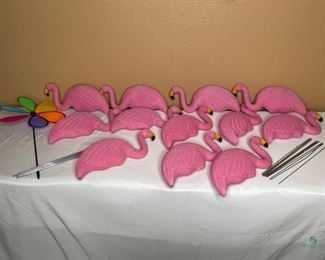 Flamingos