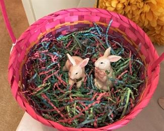 Baby bunnies