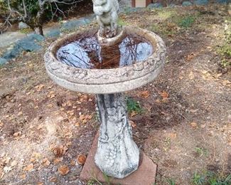 Bird bath.