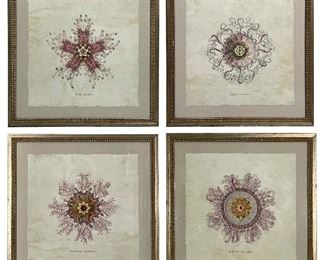 (4pc) JELLYFISH & SEA CREATURE PRINTS | 22 x 22 in. each beautifully framed! 