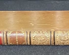 Animi Figura John Addington Symonds 1882 Book 6.75x4.5in