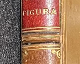 Animi Figura John Addington Symonds 1882 Book 6.75x4.5in