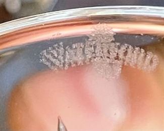 4pc Waterford Crystal Lismore Oversize Ballon Wine Glasses 7 3/4” H x 3.25in Diameter at top