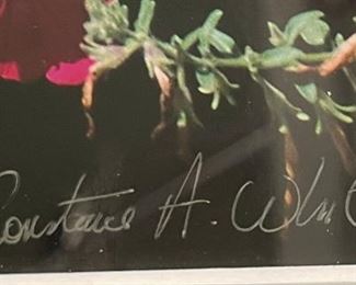 Constance A. White Framed Photo Bench/Flowers 22 x 17