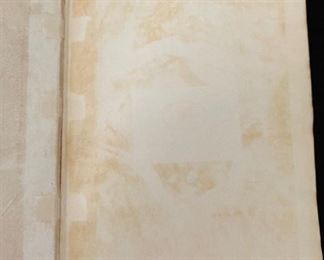 Antique 2 Volume Woman in France During The Eighteenth Century Kavanagh Vol 1&2	10.25x7.25	
