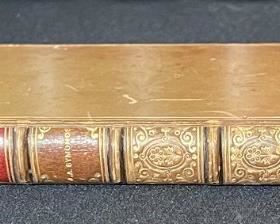 Animi Figura  John Addington Symonds 1882 Book	6.75x4.5in	
