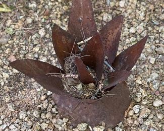 #5 Rustic Metal Agave  Sm	8 inches high	
