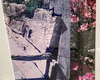 Constance A. White Framed Photo Bench/Flowers	22 x 17	
