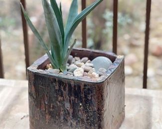 Sm Square Rustic Ceramic Pot Planter w. Plant	8x9x9in	HxWxD