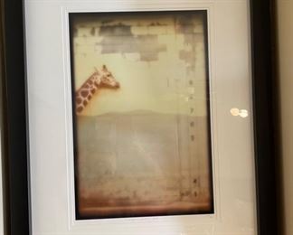 Giraffe RHMS Zoon Art Photo Framed	34in H x 26in W	
