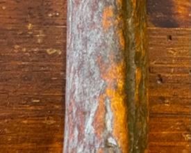 Stag/Antler Atkinson Bros Sheffield England Carving Set	Case: 1.5x14x5in	HxWxD