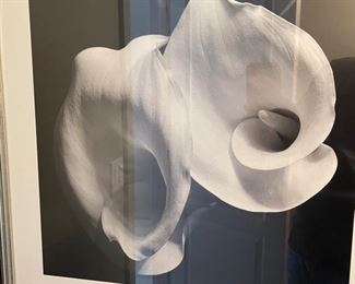 Two Callas Imogen Cunningham Framed Poster	30x26in	
