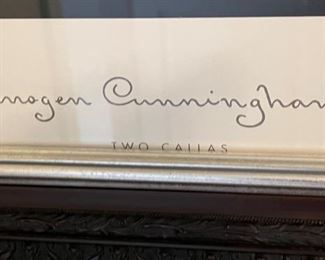 Two Callas Imogen Cunningham Framed Poster	30x26in	
