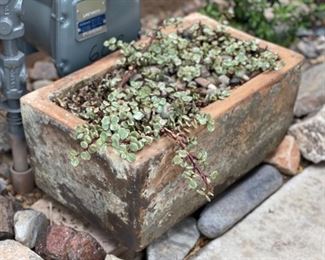 Terracotta Rectangular pot	9x19x11in	HxWxD