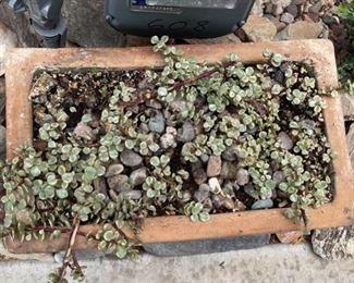 Terracotta Rectangular pot	9x19x11in	HxWxD