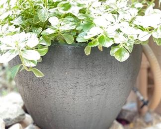 Brown Ceramic Round pot Plant	15x15	