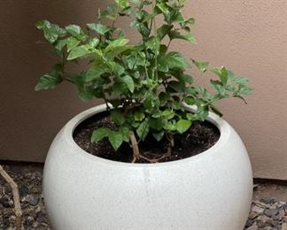 Contemporary Round Pot/Plant		