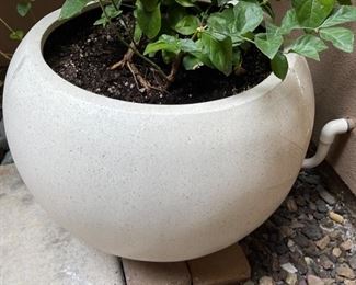 Contemporary Round Pot/Plant		