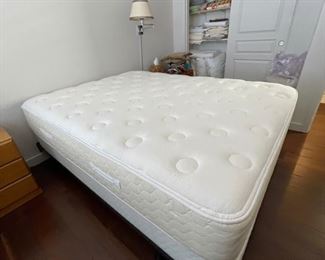 Queen Size Sealy Posturepedic Posturetech Plus Burkewood	60in x 78in	
