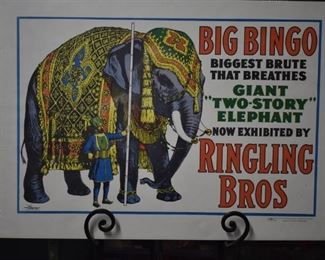 Rare! Barnum and Bailey, Ringling Bros, and More Circus Posters in Beautiful Condition ! 