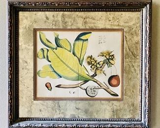 Botanical engraving, one of pair