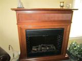 Electronic Fire Place