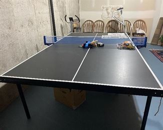 Ping pong/table tennis