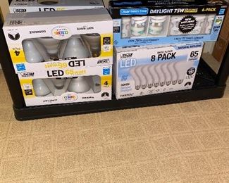 LIGHT BULBS