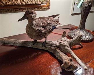 The other of the pair of full-body mount ducks. 