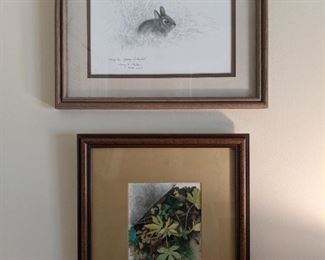 Nicely framed/matted flora/fauna prints.