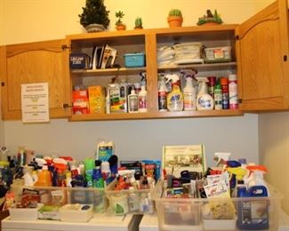 LAUNDRY ROOM-CLEANING