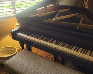  Baby Grand Piano 
