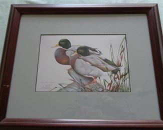Mallard Duck Art, signed
