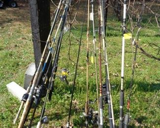 selection of fishing rods and reels