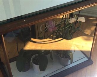 Cadberry Display Case