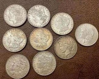 Item 131:  9 Silver Dollars:  $40/Each