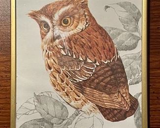 Item 231:  Signed Owl Etching - 4.75" x 6.25":  $25