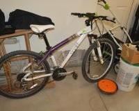 80 Scott Professional Bicycle