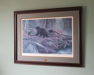 WHITETAILS UNLIMITED A HIDDEN WORLD