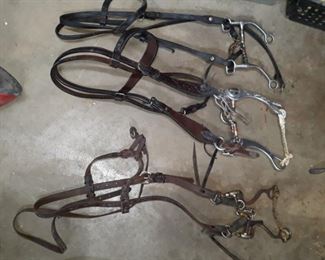 Bridle with bits