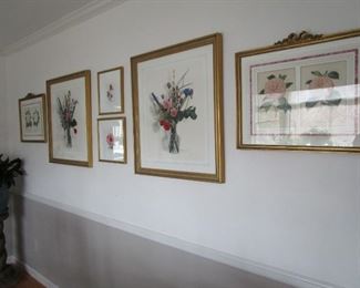 Wall of Botanicals