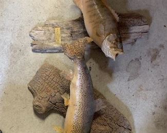 Mounted Fish Decor