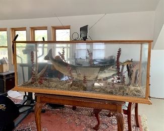 Very Large Custom N Pike Taxidermy Fish Mount Display! Can be used for a coffee table or as a conversation piece.  