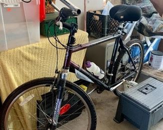 Mens Bike